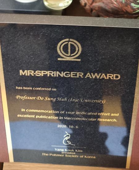  MR-SPRINGER Award